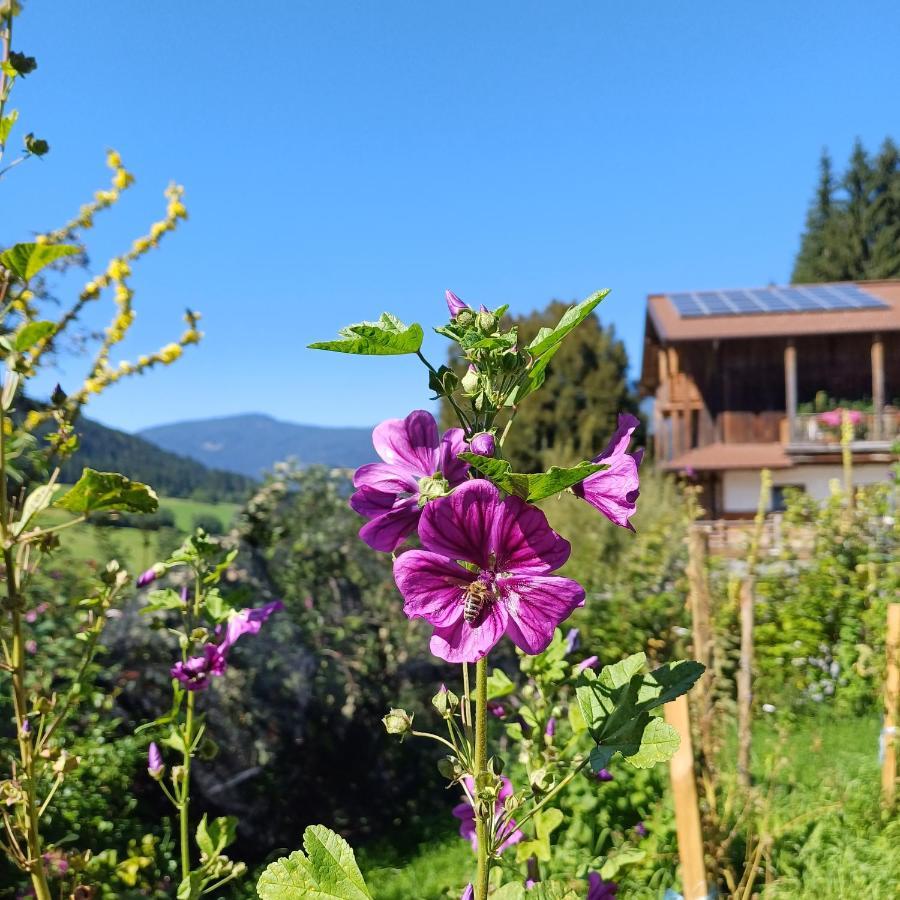 Tiny House Am Steinergut Hotell Radstadt Eksteriør bilde